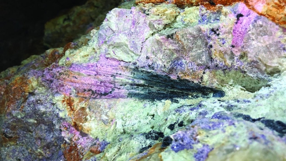Biominer&iacute;a: La evoluci&oacute;n de la miner&iacute;a
